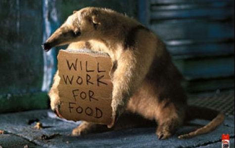 yemek için çalışırım…