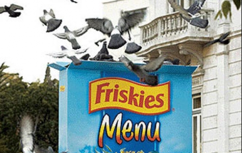 friskies – kuşların yemi