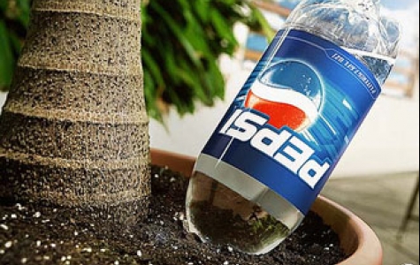 geri dönüşüme farklı bir bakış açısı – Pepsi