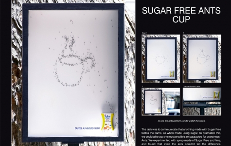 Sugar Free: Karıncalar