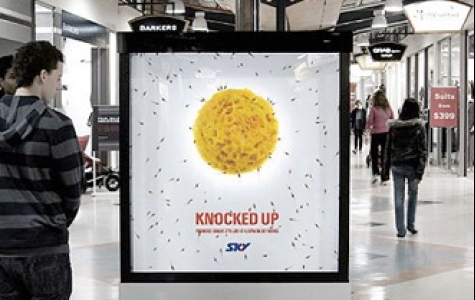 sky tv – kaza, aman balık kurşunu