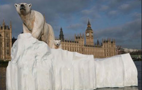 Londra’da kutup ayısı görüldü!