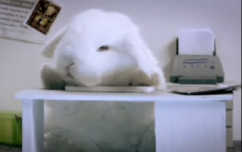 Samsung S8300’in 38 hayvanlı viral filmi