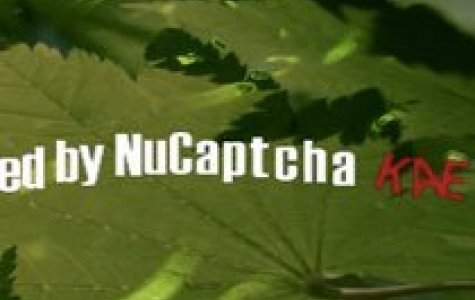 NuCaptcha – video captcha servisi!