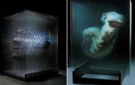 Xia Xiao Wan – El boyaması hologram resimler