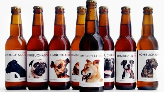 Sorumluluk Sahibi Bira Şişesi ile Köpeklere Yuva Bulunuyor
