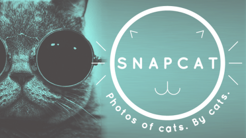 Kediler İçin Snapchat: Snapcat