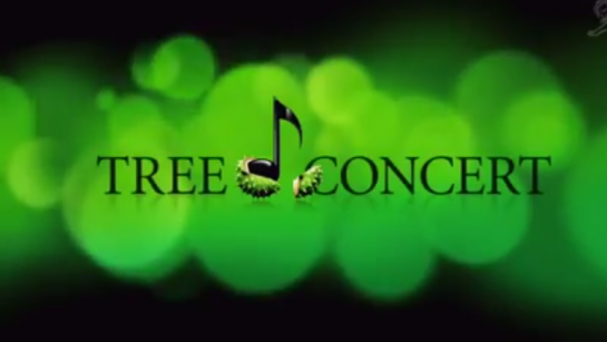 Berlin’in Ortasında Doğayı Korumak İçin Konser Veren Ağaç