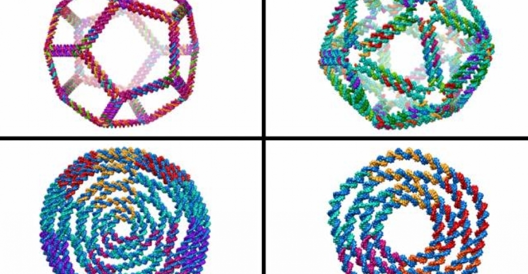 MIT’den Üç Boyutlu Karmaşık DNA Tasarımı Algoritması