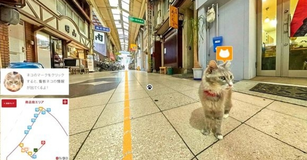 Kediler Ve Yokuşlar Kenti Onomichi’yi Kedilerin Gözünden Tanıyın