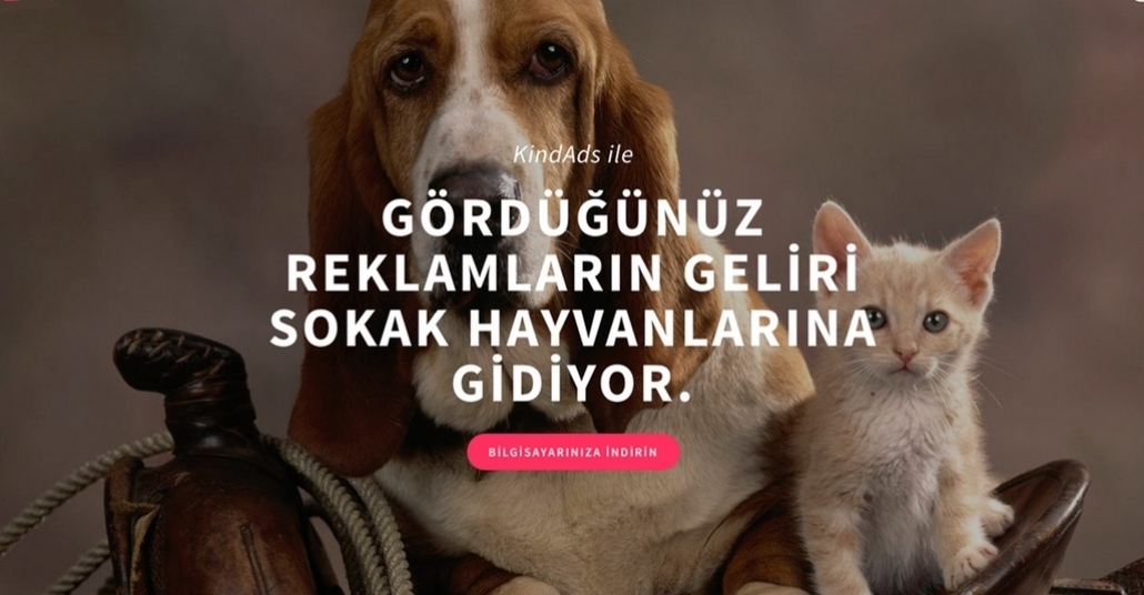 KindAds ile İnternette Reklam Görerek Sokak Hayvanlarına Yardım Edin