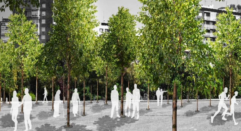 Madrid, İklim Değişikliğine Karşı Kendini Ağaçlarla Donatıyor
