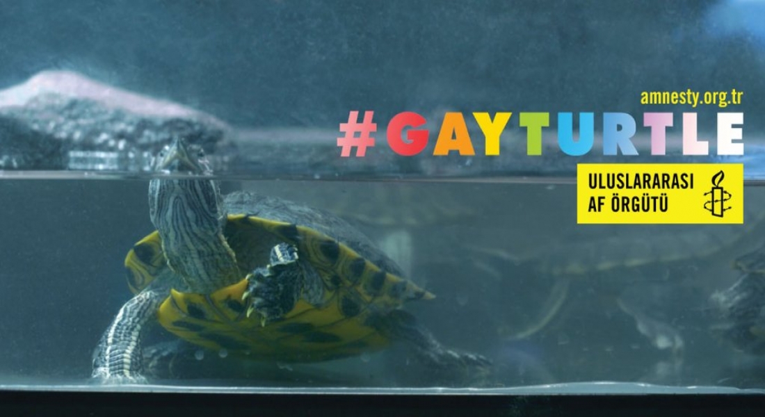 Eşcinsel Bir Kaplumbağaya Gönlünüzde Yer Var Mı?