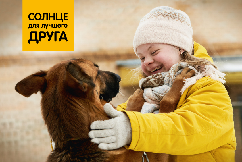 down sendromlu köpek