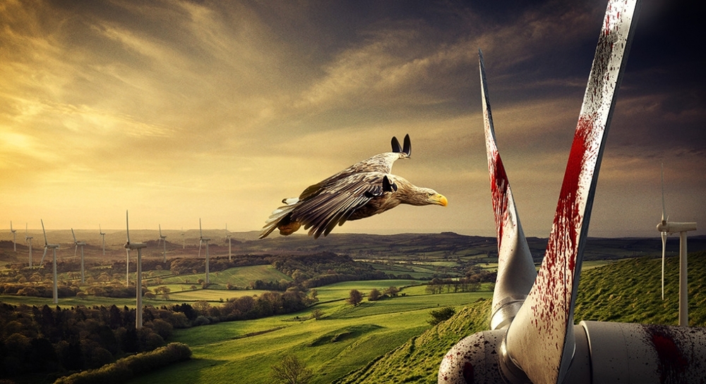 Twitter Hesabınızı Nesli Tükenen Kuşlara Bağışlayın