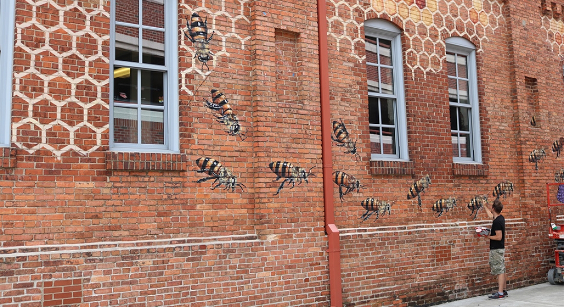 Bal Arılarının Yok Oluşuna Dikkat Çeken Murallar