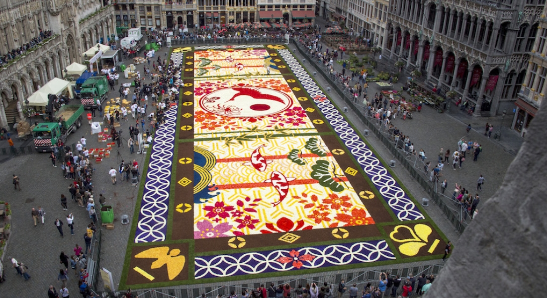 Brüksel Meydanı’ndaki 600 Bin Çiçekten Oluşan Halı