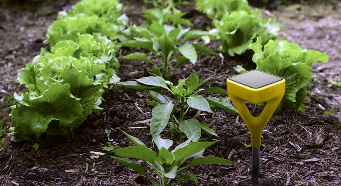 Akıllı Bahçe Sensörü Edyn’le Bitkilerinizin İhtiyaçlarını Öğrenin