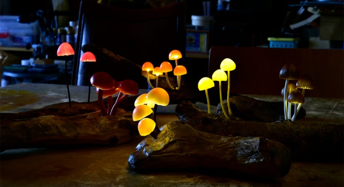 Yukio Takano LED Işıklı Mantar Serisine Her Geçen Gün Yenilerini Ekliyor