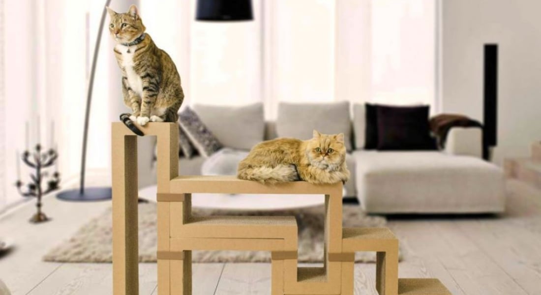 Kediler ve Kediciler İçin Tetris