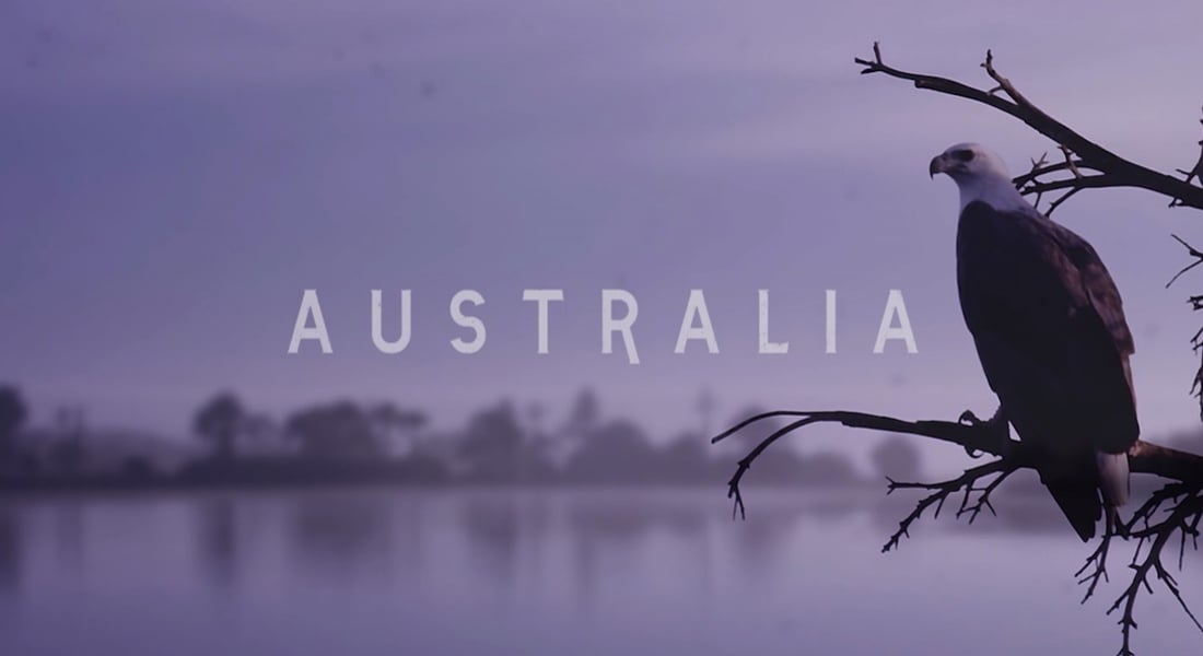 Bir Kartalın Gözünden Avustralya’da Doğal Yaşam [Video]