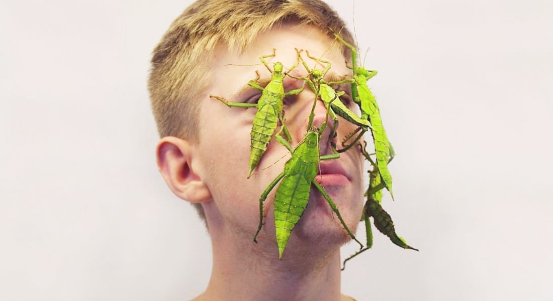 Kocaman Egzotik Böceklerle Selfie’ler