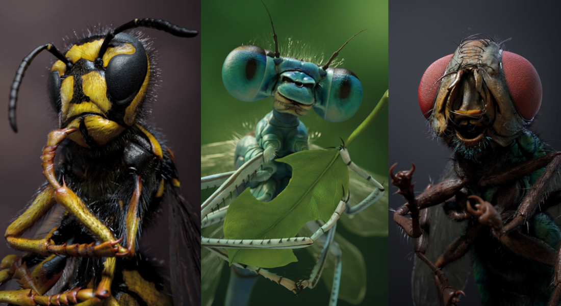 Böceklerin Çektirdiği Portre Fotoğraflar
