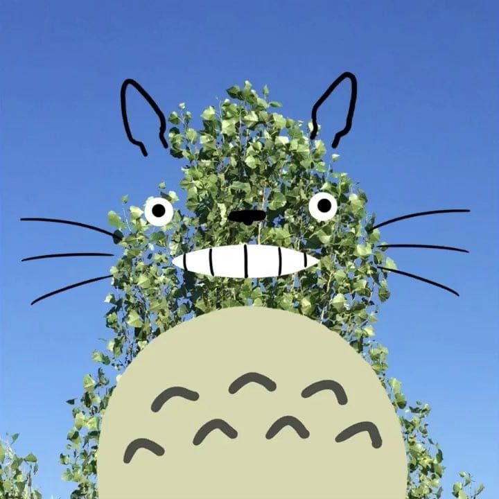 Günlük Hayattan Nesneler Totoro’ya Dönüşürse