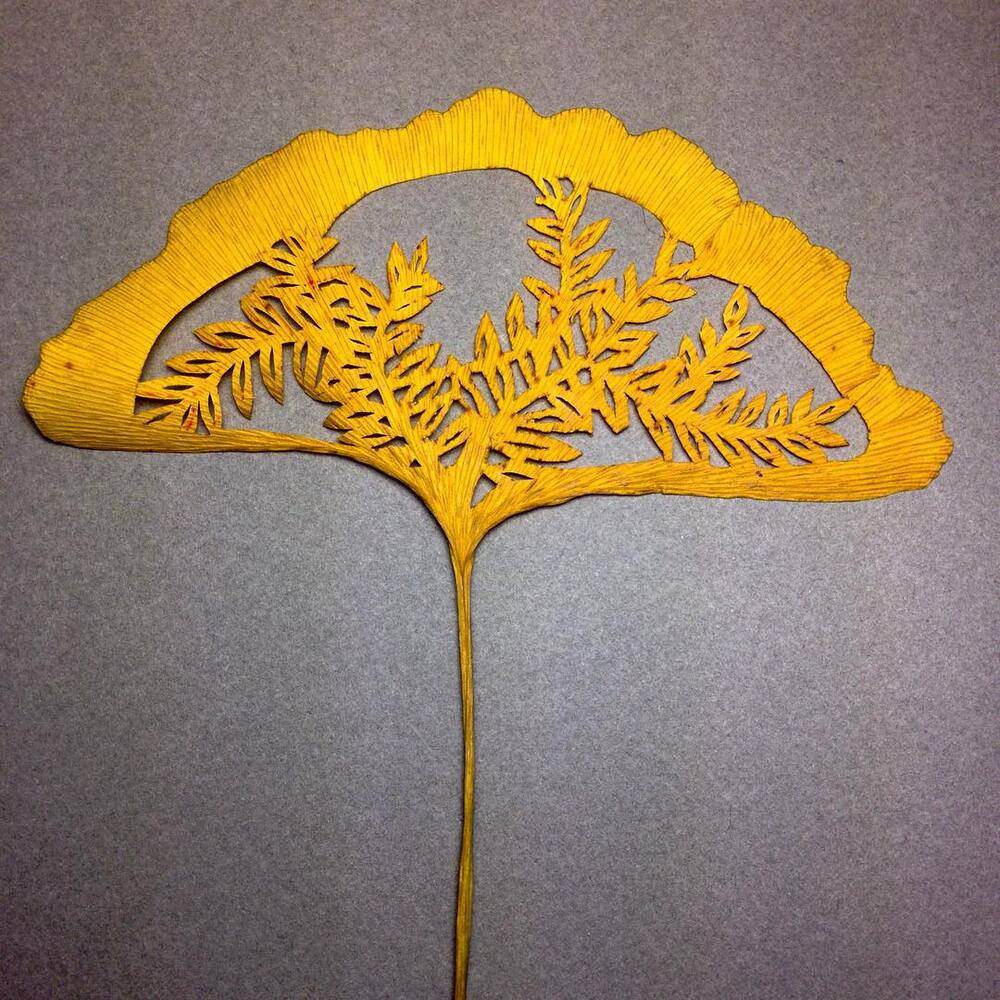 El Emeği Göz Nuru Yapraklar