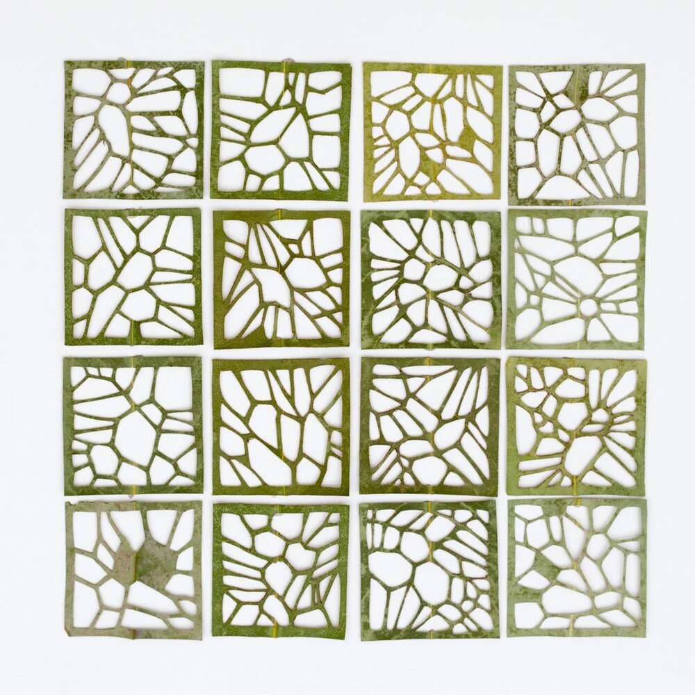 El Emeği Göz Nuru Yapraklar