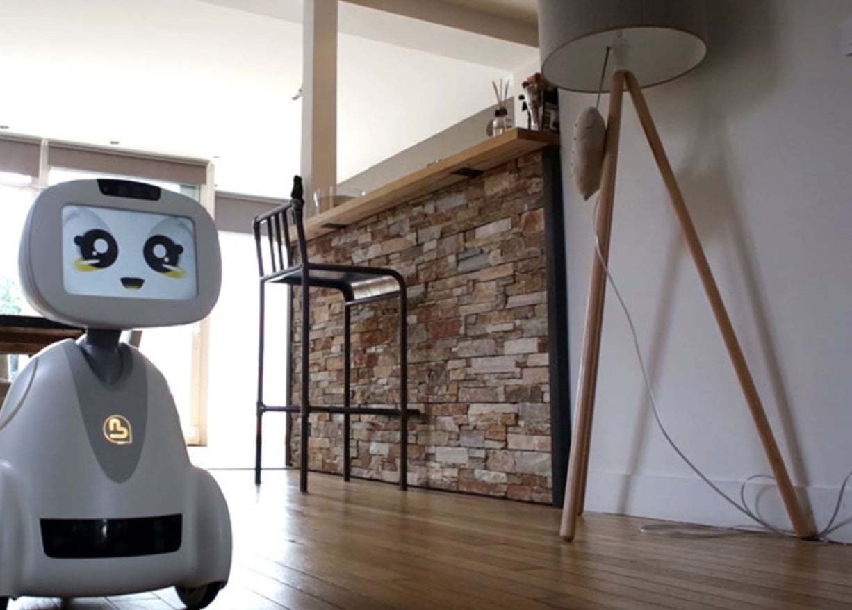 Робот Бадди. Домашние роботы. Домашний робот. Домашний робот помощник. Включи робот дома