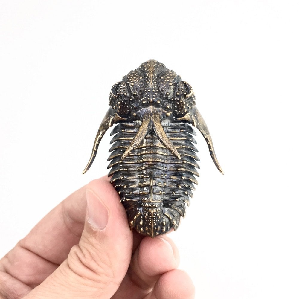 Bilim İnsanından Fosil Heykelleri