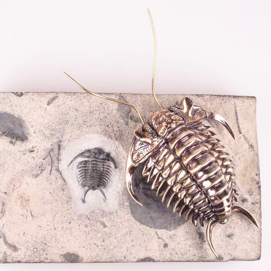 Bilim İnsanından Fosil Heykelleri