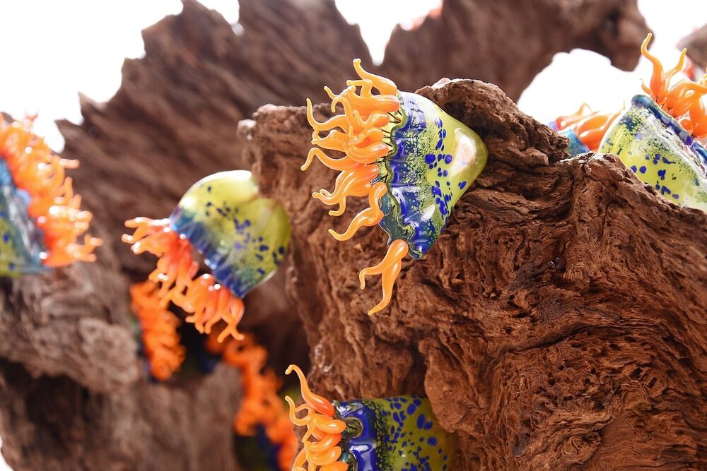 Doğanın Güzelliğini Camla Tekrar Yaratmak