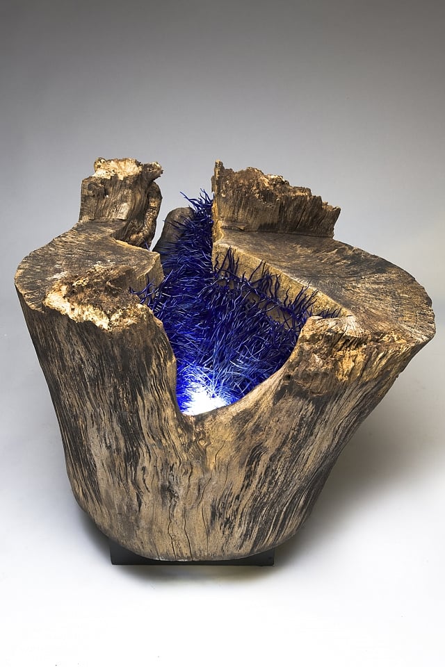 Doğanın Güzelliğini Camla Tekrar Yaratmak