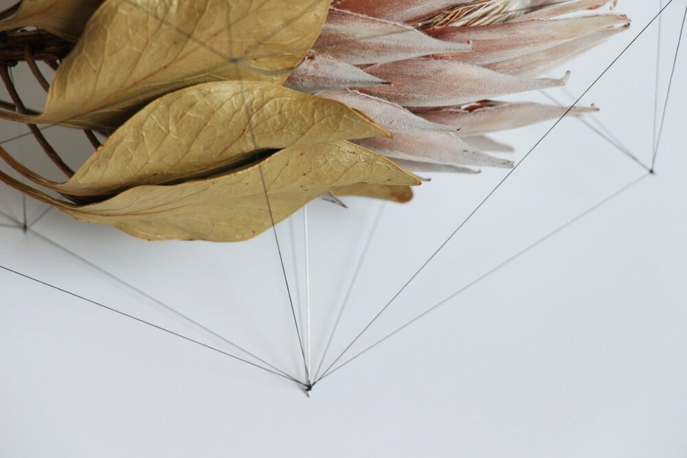 Çiçeklerin Geometrisi