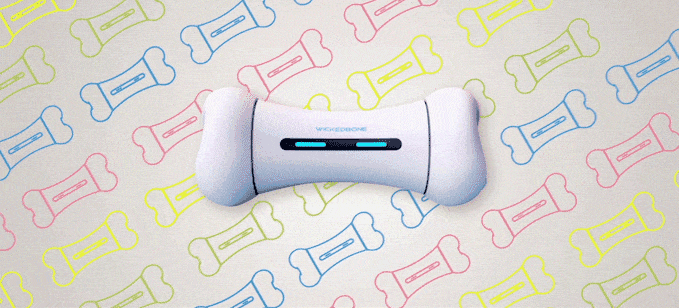 wickedbone_kickstarter_bigumigu_