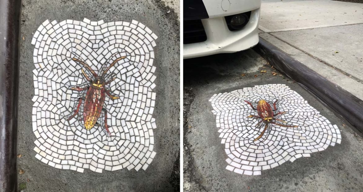 Sokaklardaki Çukurları Süsleyen Haşere Mozaikleri