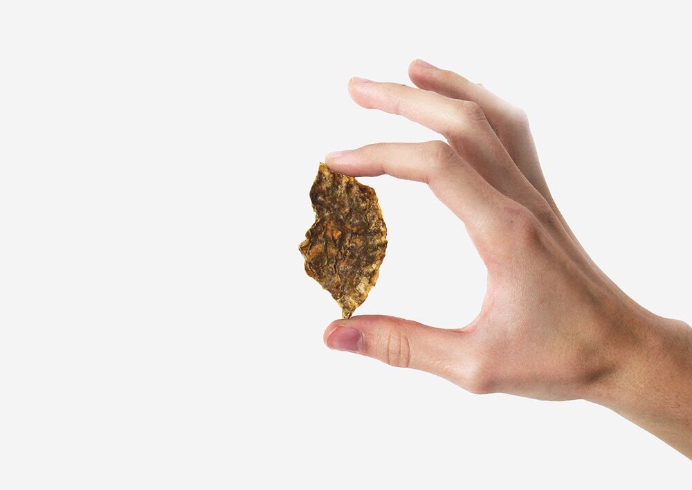 Patates Kızartması İçin Patates Kabuğundan Yapılmış Ambalaj