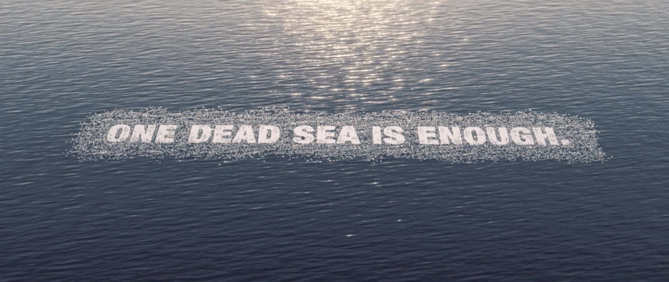 Dünyanın Daha Fazla Ölü Deniz’e İhtiyacı Yok
