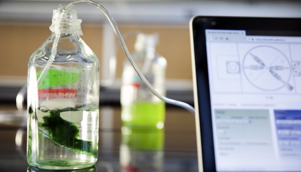 puma_mit design lab_bio tasarım_bigumigu_5