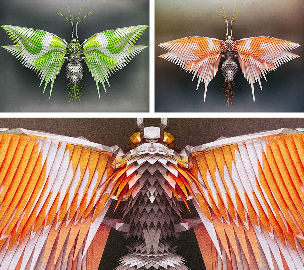 Çokgen Anatomili Böcekler