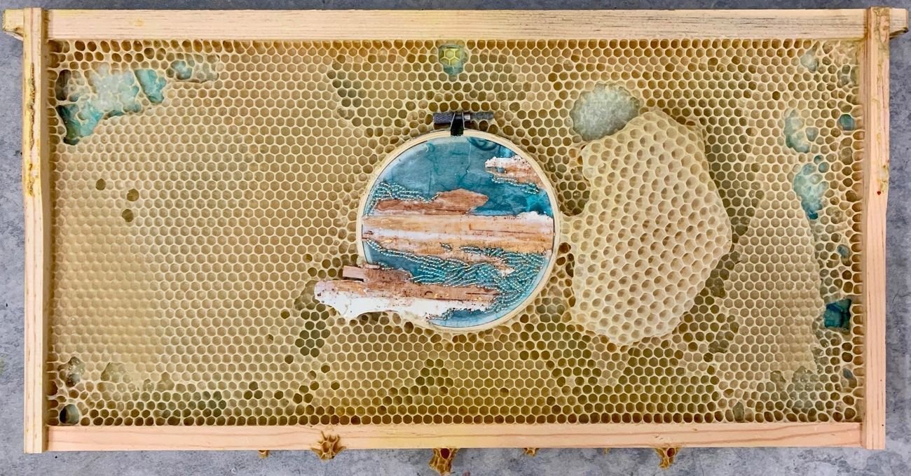 Bal Arılarının Tamamladığı Sanat Eserleri