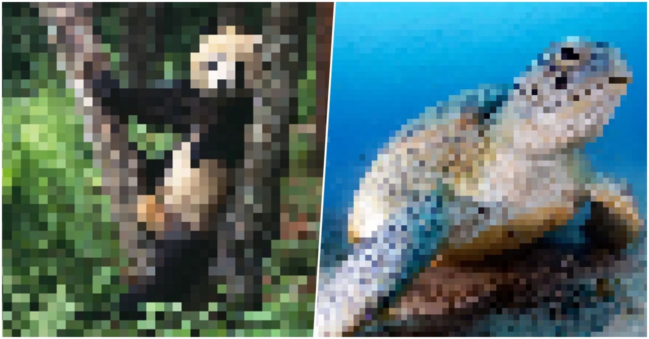 Nesli Tükenmekte Olan Hayvanlardan Sadece Görsellerdeki Piksel Kadar Kaldı