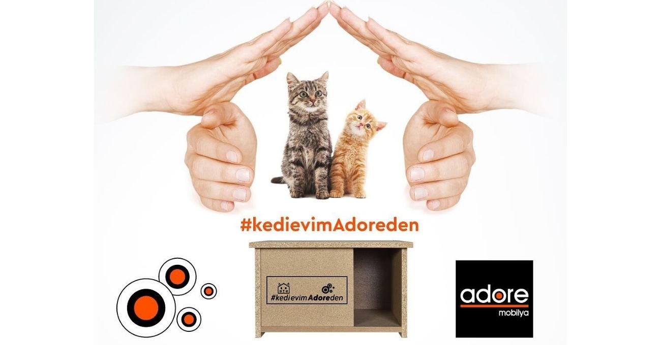 Adore Hasarlı Mobilyalardan Yaptığı Kedi Evi Kampanyasını Sürdürüyor