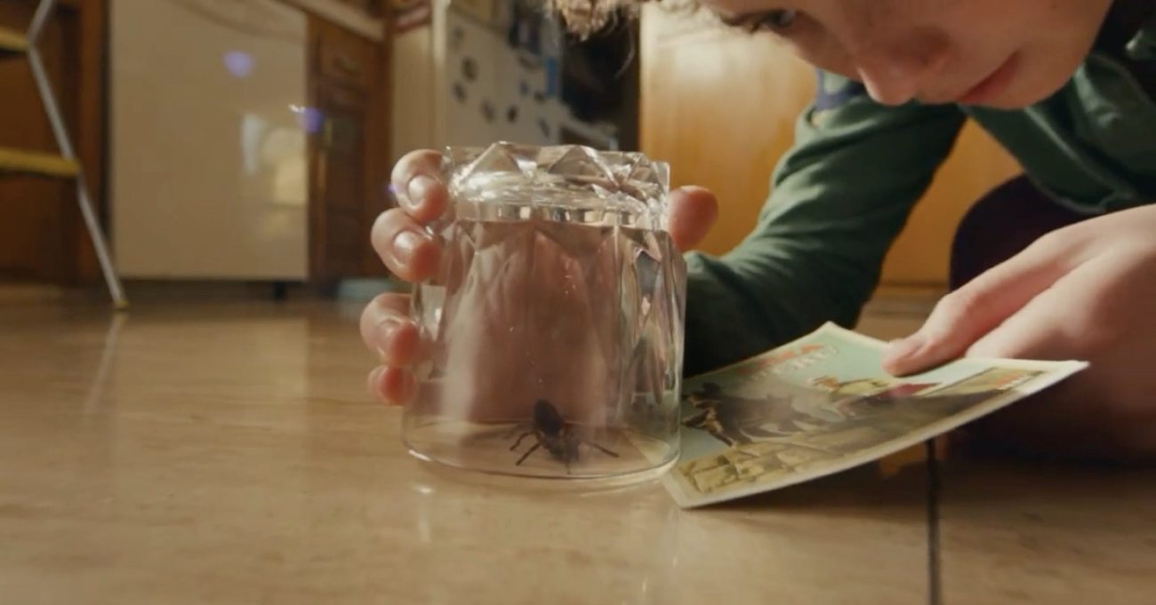 Tek Başına Örümcek Yakalayabiliyorsan Vergi İşlemlerini de Halledebilirsin