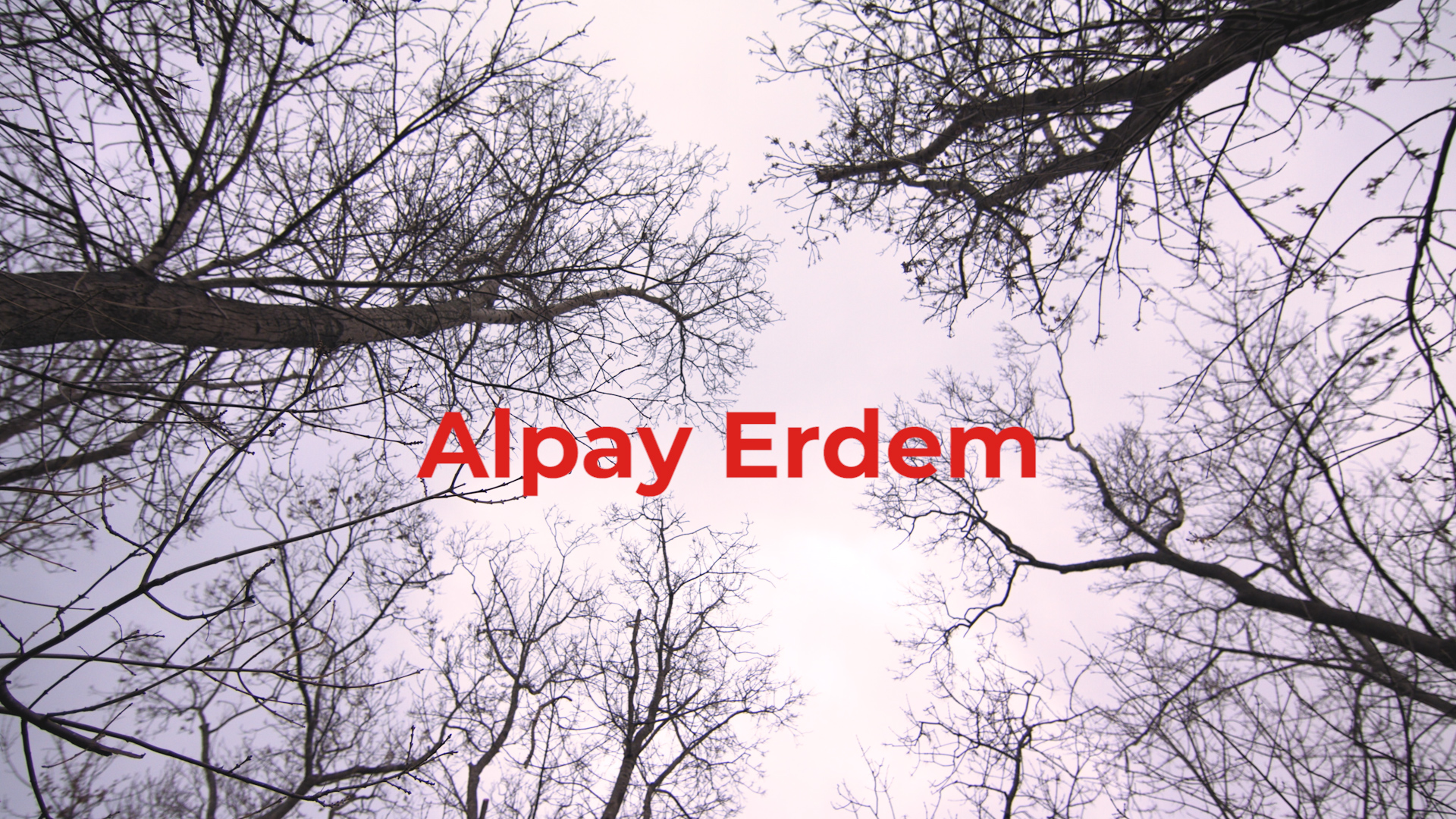 Alpay Erdem’in Jeofizik Mühendisliğini Bırakıp Karikatürist Olma Yolculuğu