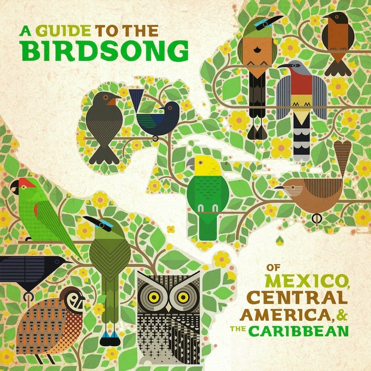 A Guide to the Birdsong