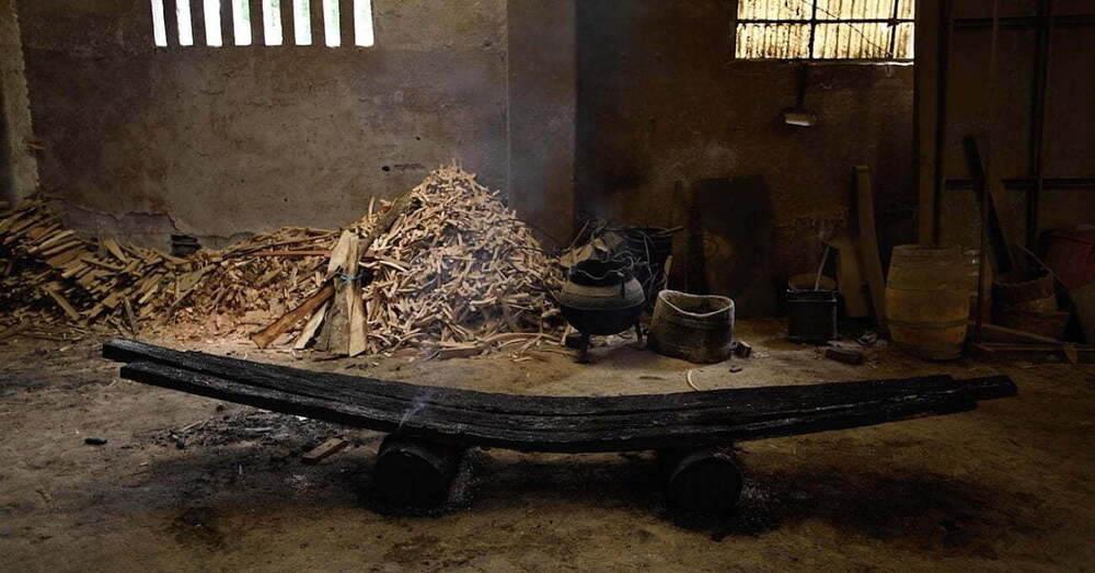 Orman Yangınlarının Yıkıcı Etkisini Yansıtan Bir Koleksiyon