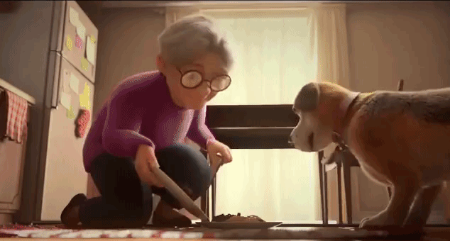 Poochini: A Love Story